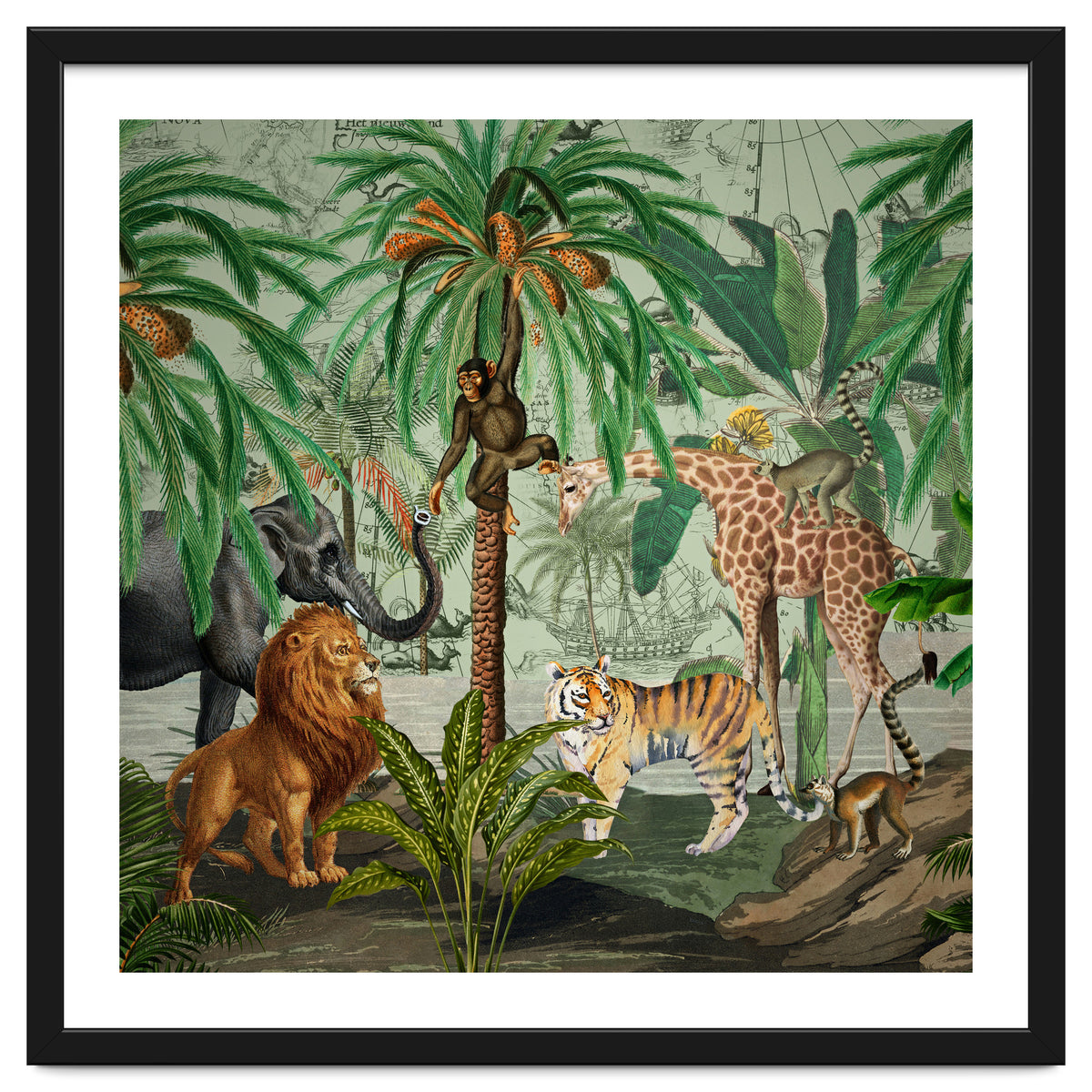 Vintage African Adventure