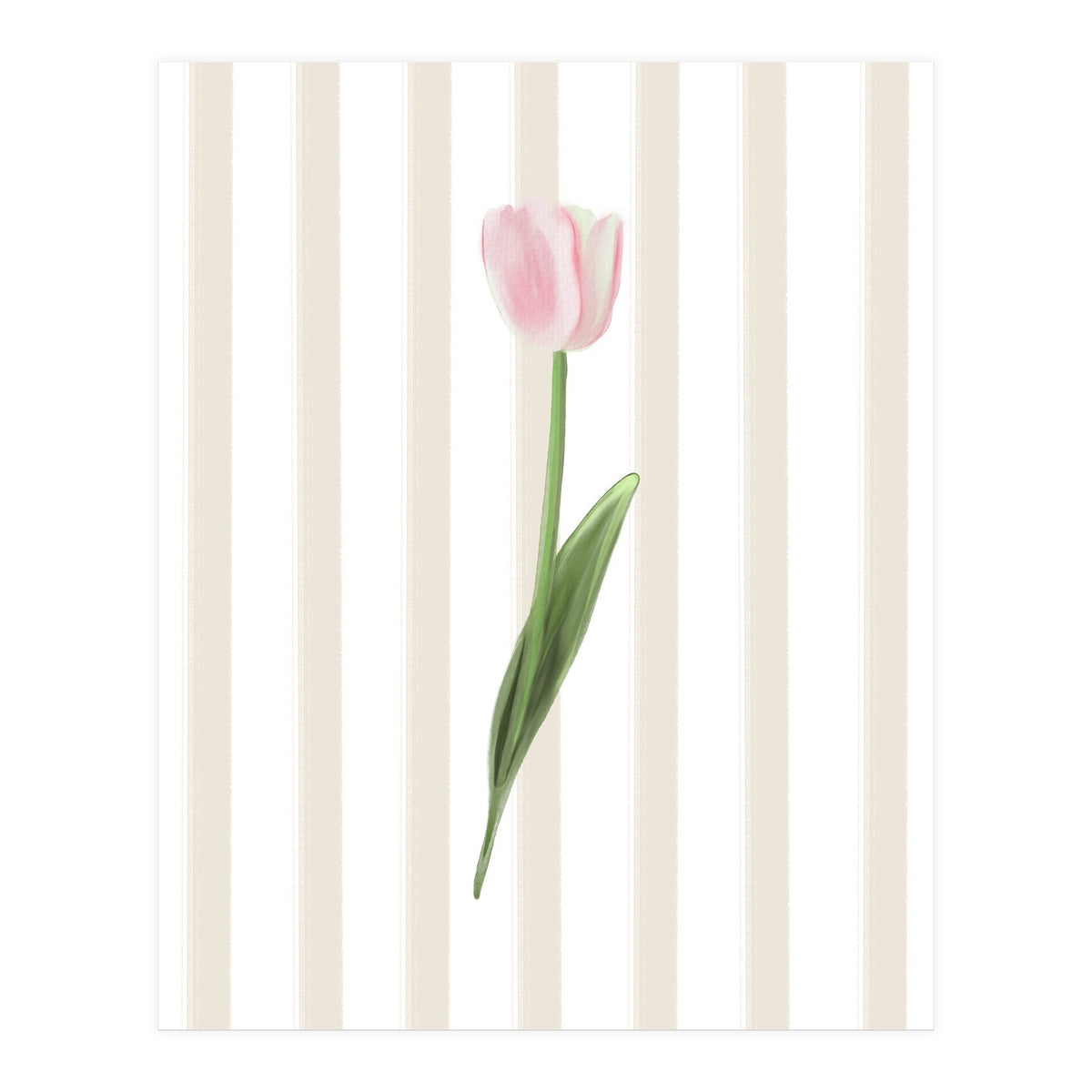 Single Tulip (Print Only)