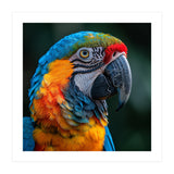 Close Up Of A Colorful Macaw Parrot (Print Only) thumbnail