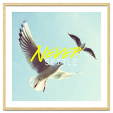 Never Settle thumbnail