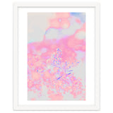 Chamomile thumbnail