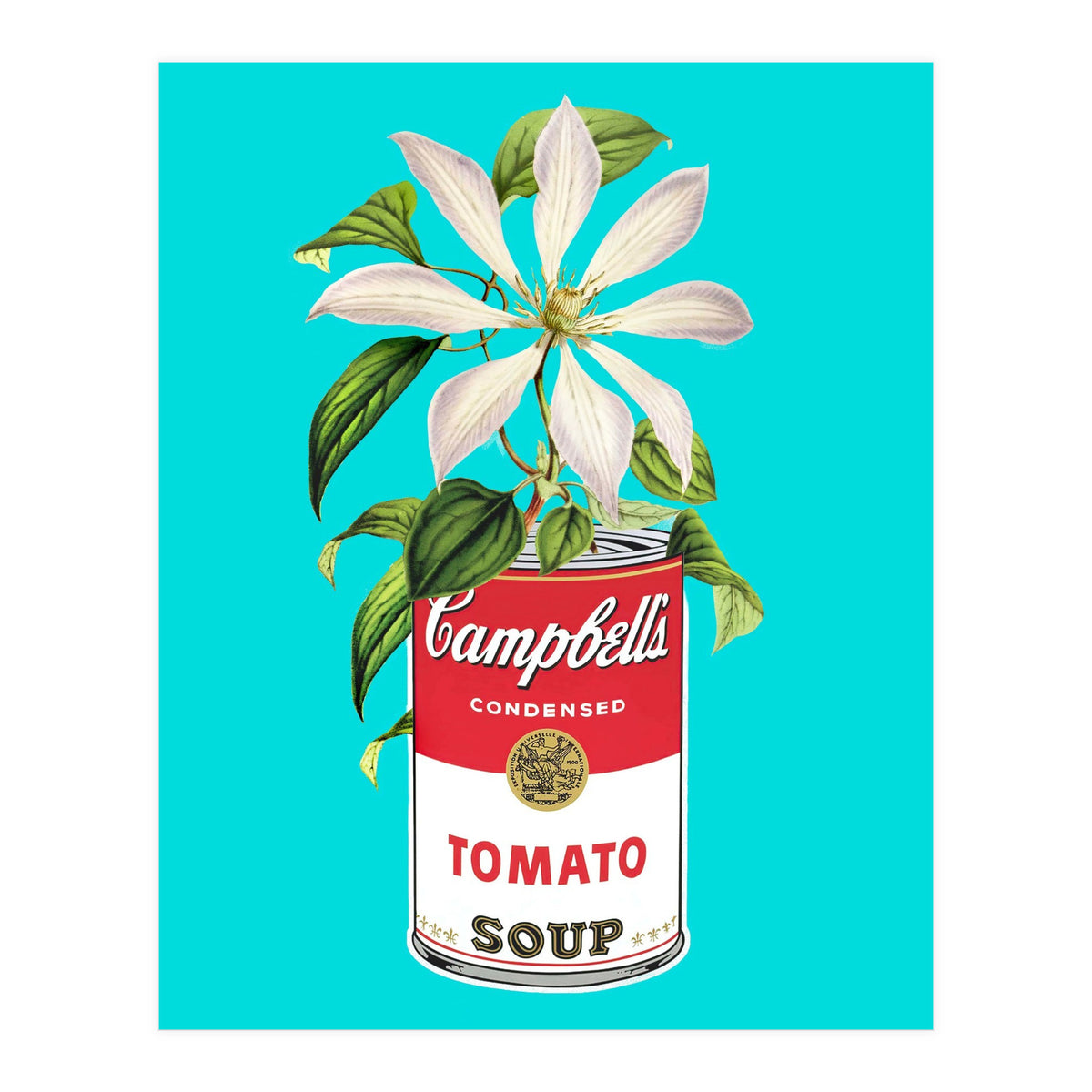 Floral Campbells (Print Only)