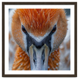 Close Up Of A Pelican's Beak With Water Droplets thumbnail