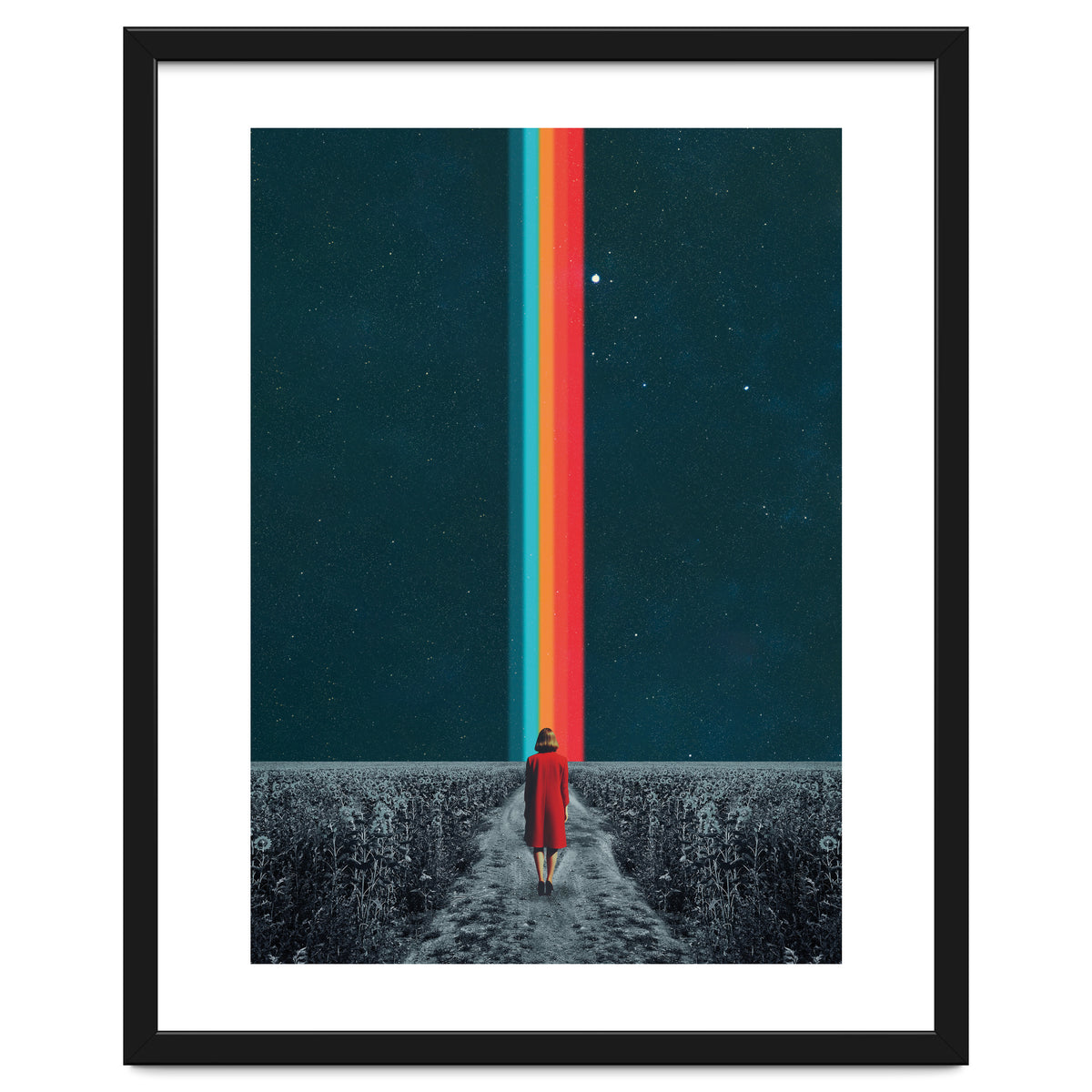 Follow Your Own Path