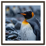 King Penguin Standing In Snowfall Outdoors thumbnail