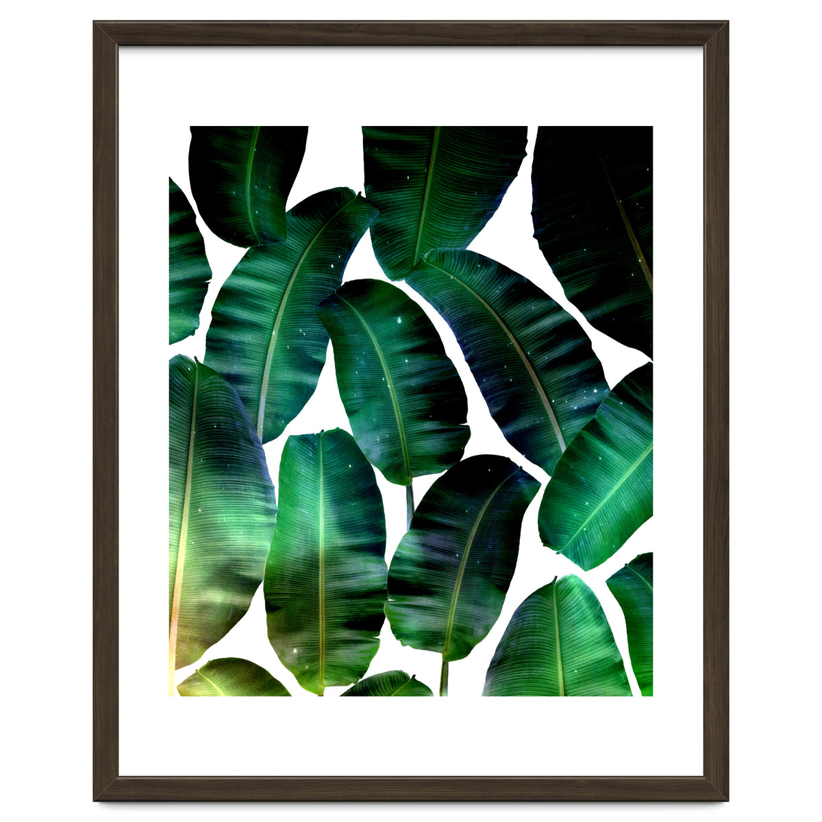 Cosmic Banana Leaves