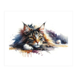 Maine Coon Resting Portrait (Print Only) thumbnail