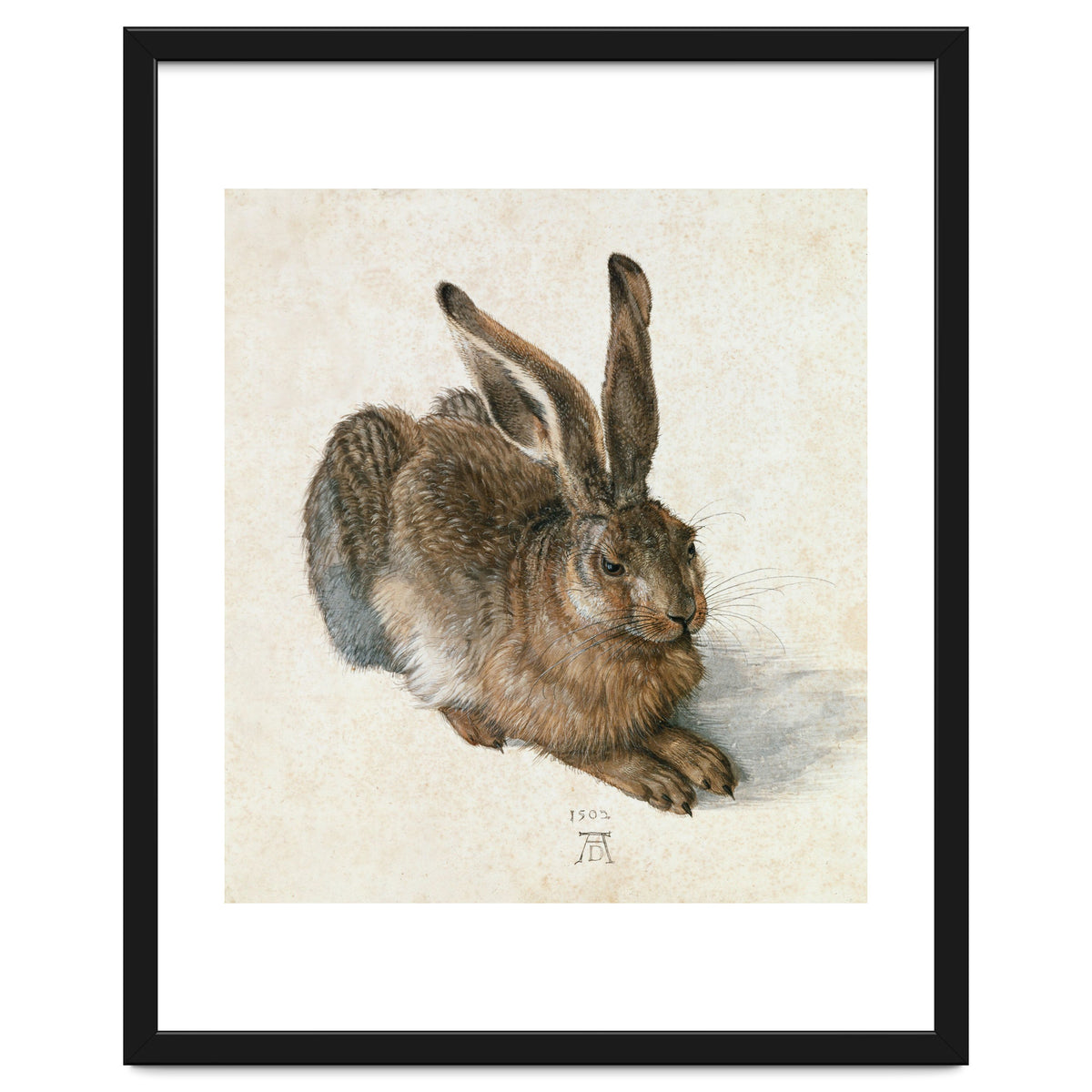 Hare-Hase. Watercolour.