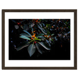 Orange, Green and Dark thumbnail