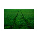 Track and Field (Print Only) thumbnail