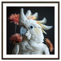 Beautiful Cockatoo Parrot With Yellow Crest