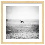 Sea Horse thumbnail