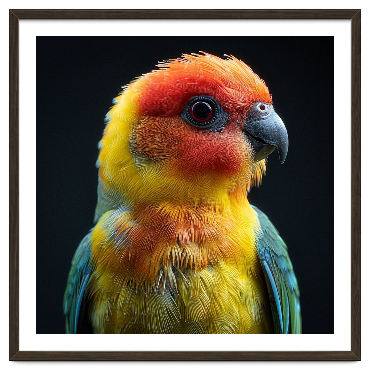 Vibrant Sun Conure Parrot Close Up Portrait