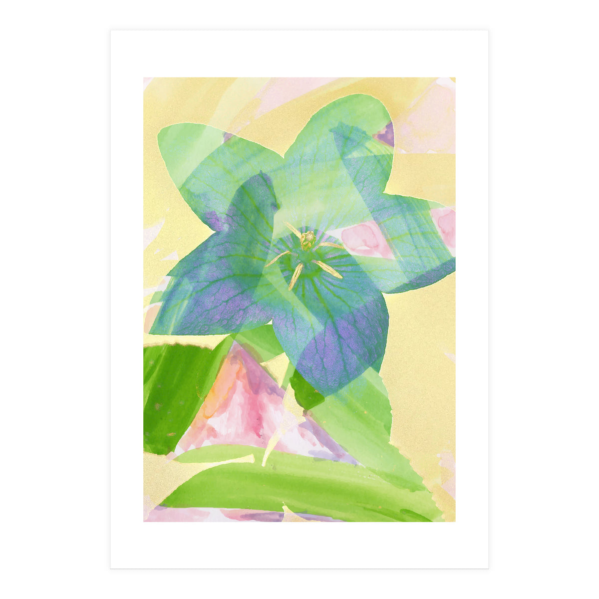 A Peaceful World (Print Only)