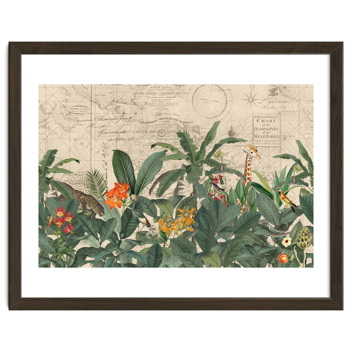 Explore The New World Wild Animals