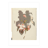 The First Plant · M2 (Print Only) thumbnail