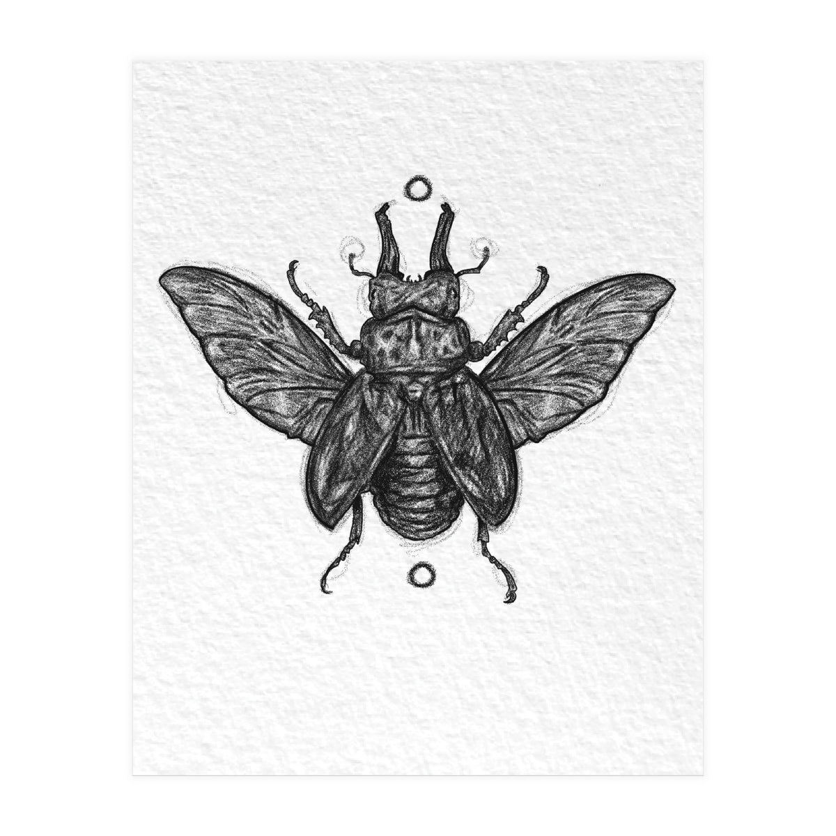 Hirschkäfer  (Print Only)