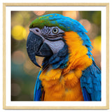 Blue And Yellow Macaw Parrot Close Up Detailed Shot thumbnail