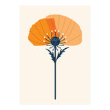 Orange Half Poppy (Print Only) thumbnail
