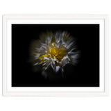 Backyard Flowers No 25 Color Flow Version thumbnail