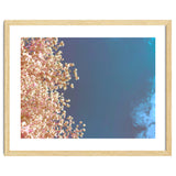 Leaves And Sky thumbnail