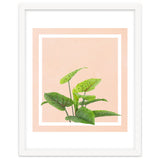 Botanical Art thumbnail