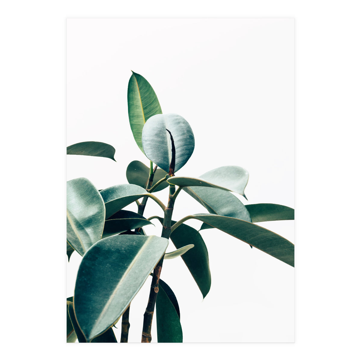 L'amour de ma vie #society6 #decor #buyart (Print Only)