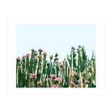 Blush Cactus #society6 #decor #buyart (Print Only) thumbnail