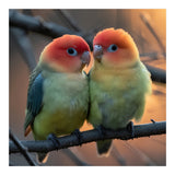 Two Lovebirds Perched On A Branch At Sunset (Print Only) thumbnail