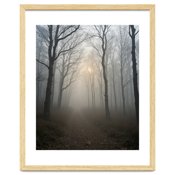 Ethereal Morning Light Breaking Through Dense Forest Fog