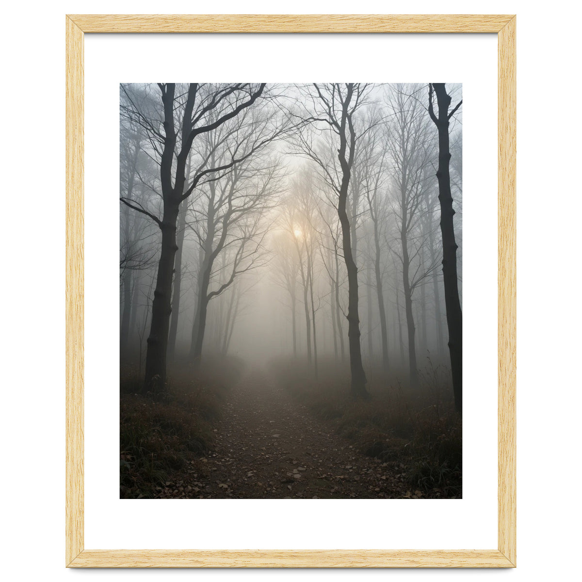 Ethereal Morning Light Breaking Through Dense Forest Fog