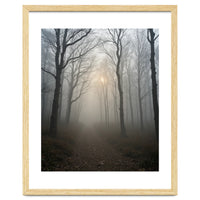Ethereal Morning Light Breaking Through Dense Forest Fog