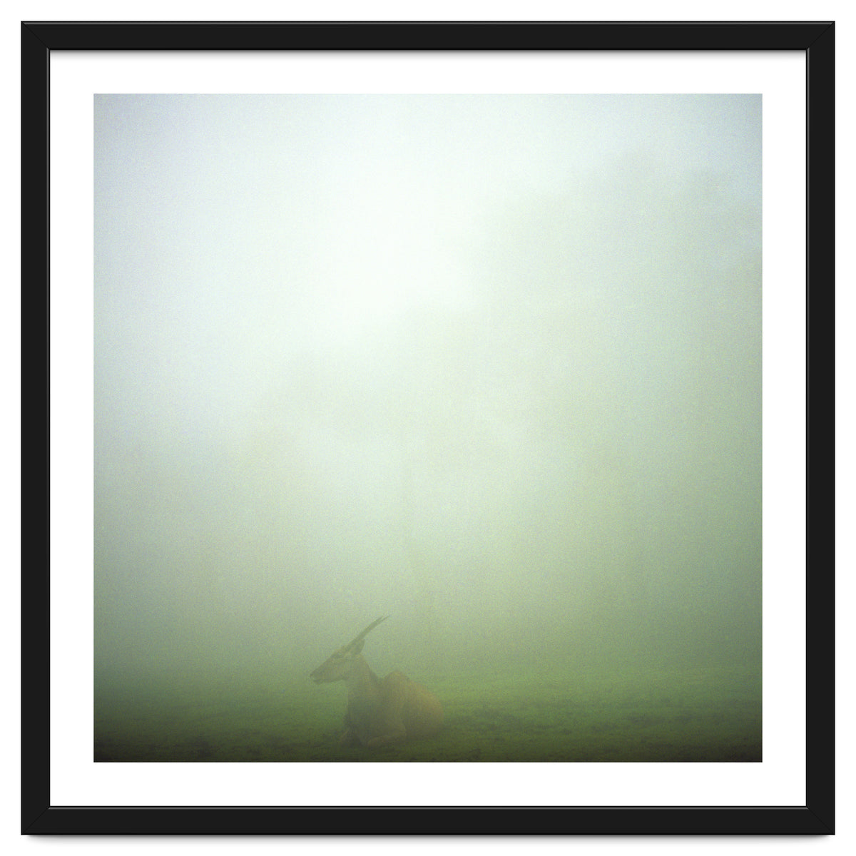 Silence of breath - 06