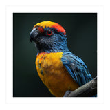 Close Up Colorful Parrot Perched On A Branch (Print Only) thumbnail