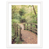 Path To The Bridge thumbnail