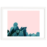 Kaktos thumbnail