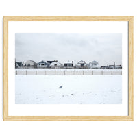 A seagull and snow covered houses