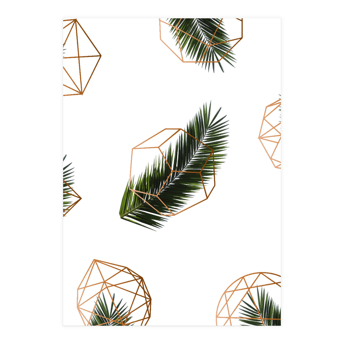Palm  Geometry V2 (Print Only)