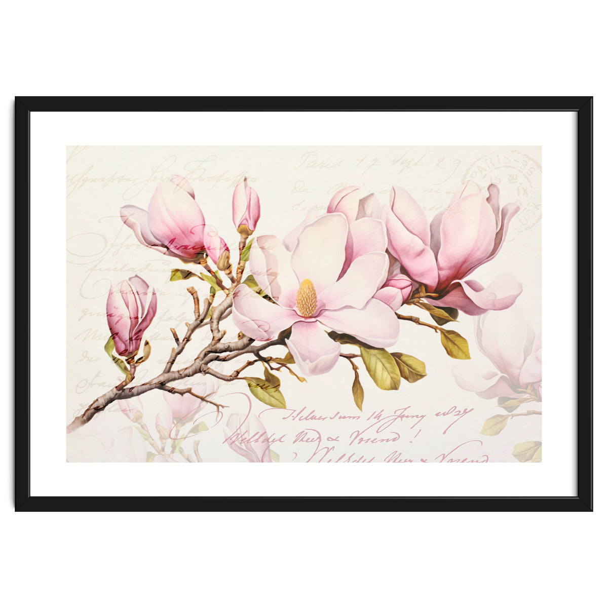 Magnolia Spring Romance Pink