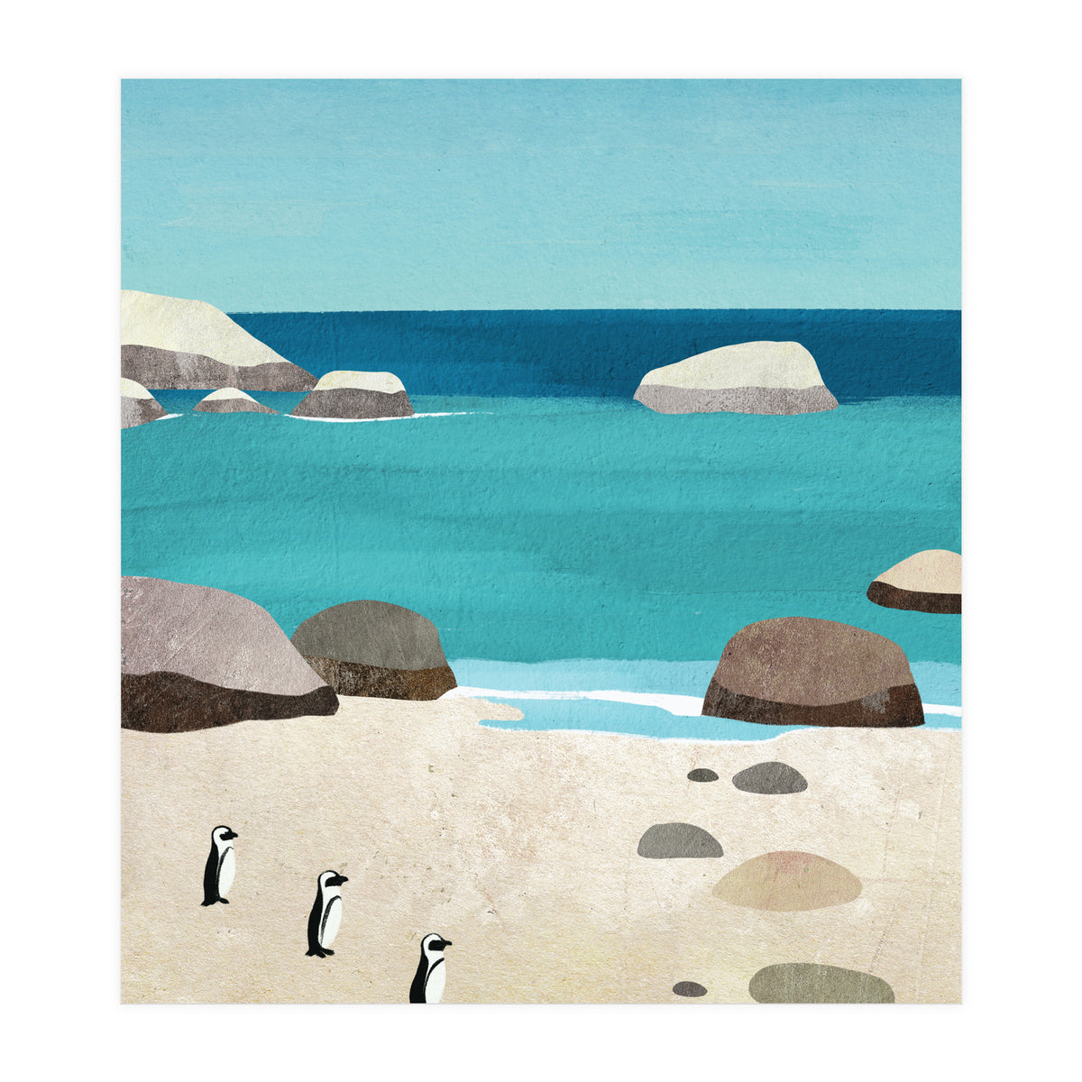 Penguins, Boulders Beach  (Print Only)