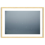 Flying Segulls in thet winter sky thumbnail