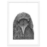 Muninn thumbnail