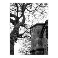Stark Contrast (Print Only)