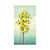 Lemon Tree  (Print Only) thumbnail