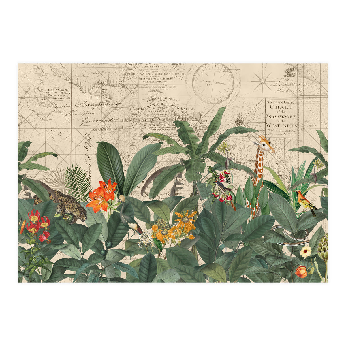 Explore The New World Wild Animals (Print Only)