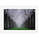 Cherry trees in the fog thumbnail