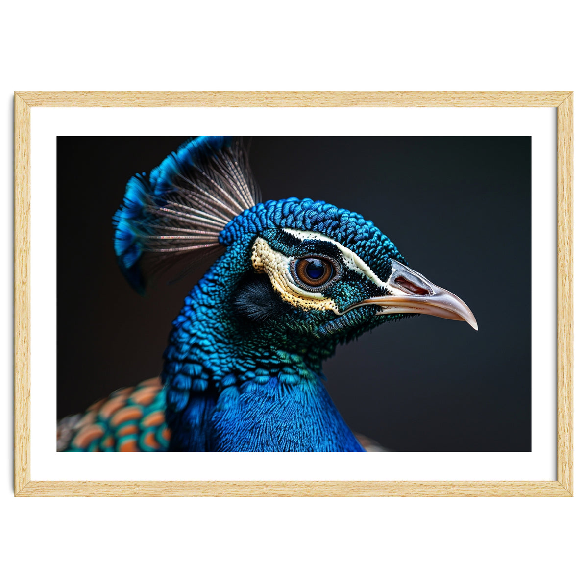 Close Up Peacock Head Blue Green Feather