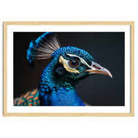 Close Up Peacock Head Blue Green Feather