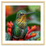 Close Up Of A Hummingbird On Red Flowers thumbnail