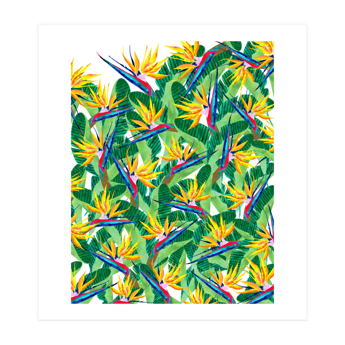 Summer Strelitzia (Print Only)